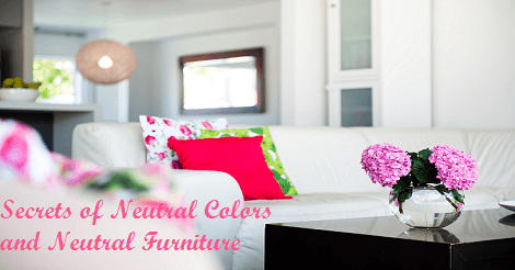 Neutral Colors and Neutral Furniture