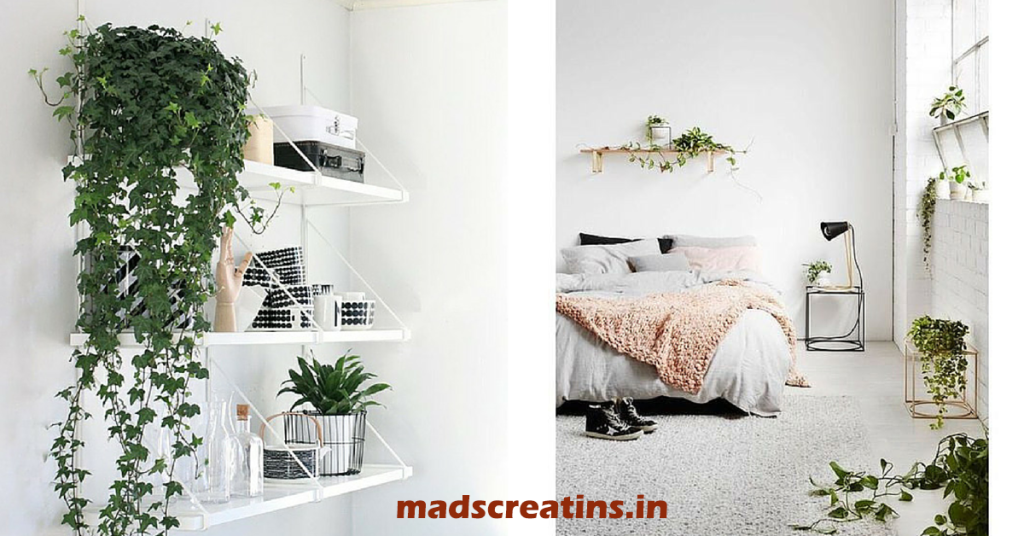 greenery-inside-or-outside-of-home